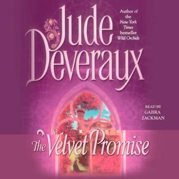 Читать Velvet Promise - Джуд Деверо