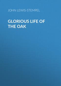 Читать Glorious Life of the Oak - John  Lewis-Stempel