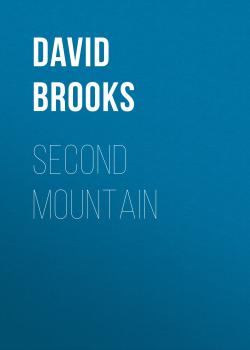 Читать Second Mountain - David Brooks