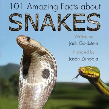 Читать 101 Amazing Facts about Snakes - Jack Goldstein