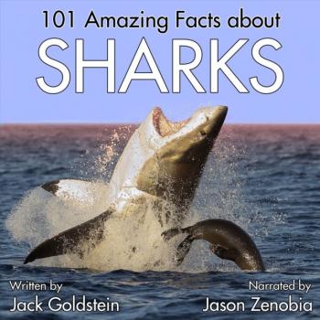 Читать 101 Amazing Facts about Sharks - Jack Goldstein