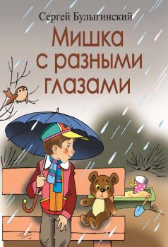 Читать Мишка с разными глазами - Сергей Булыгинский