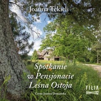 Читать Spotkanie w Pensjonacie Leśna Ostoja - Joanna Tekieli
