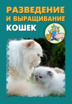 Читать Разведение и выращивание кошек - Илья Мельников