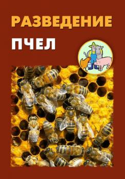 Читать Разведение пчел - Илья Мельников