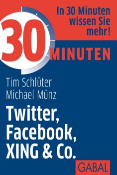 Читать 30 Minuten Twitter, Facebook, XING & Co. - Tim  Schluter
