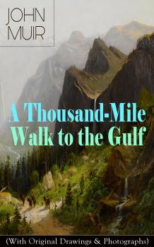 Читать A Thousand-Mile Walk to the Gulf (With Original Drawings & Photographs) - John Muir