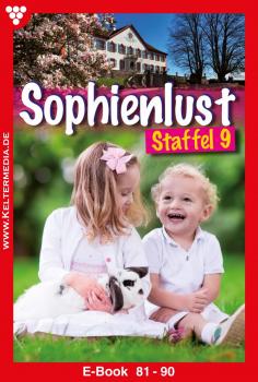 Читать Sophienlust Staffel 9 – Familienroman - Patricia Vandenberg