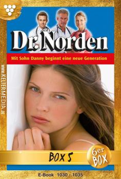 Читать Dr. Norden Jubiläumsbox 5 – Arztroman - Patricia Vandenberg