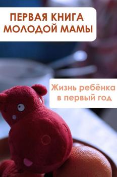 Читать Жизнь ребёнка в первый год - Илья Мельников