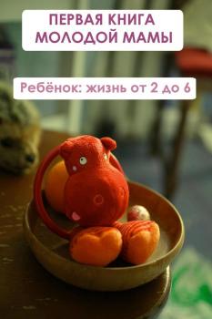 Читать Ребёнок: жизнь от двух до 6 - Илья Мельников