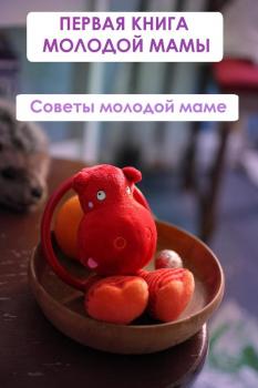 Читать Советы молодой маме - Илья Мельников