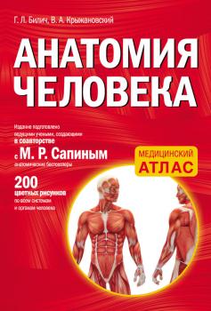 Читать Анатомия человека - Г. Л. Билич