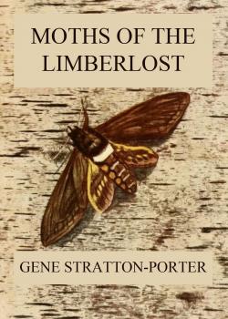 Читать Moths of the Limberlost - Stratton-Porter Gene