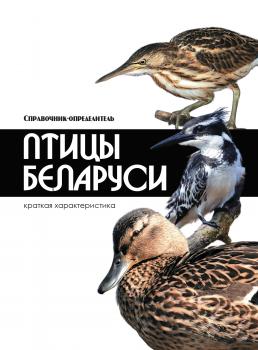 Читать Птицы Беларуси - Владимир Адамчик