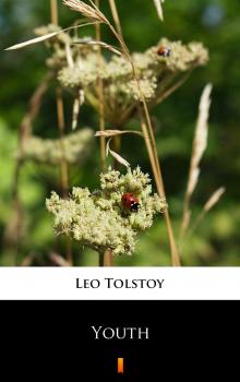 Читать Youth - Leo Tolstoy