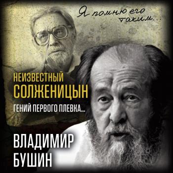 Читать Неизвестный Солженицын. Гений первого плевка - Владимир Бушин