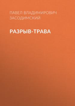 Читать Разрыв-трава - Павел Владимирович Засодимский