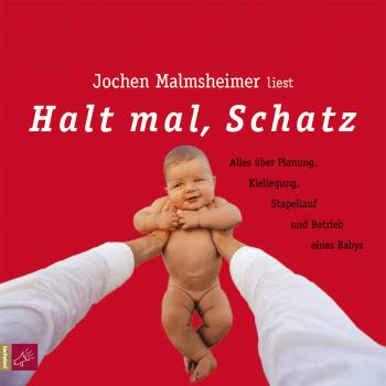 Читать Halt mal, Schatz - Jochen Malmsheimer