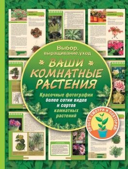Читать Ваши комнатные растения - Галина Попова