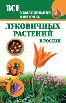 Читать Все о выращивании и выгонке луковичных растений в России - Татьяна Литвинова