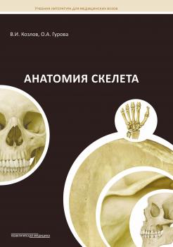 Читать Анатомия скелета - Ольга Гурова
