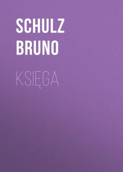Читать Księga - Schulz Bruno