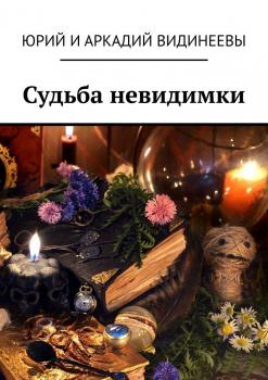 Читать Судьба невидимки - Юрий и Аркадий Видинеевы