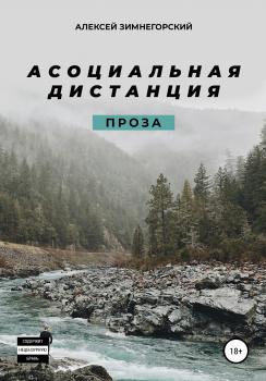 Читать Асоциальная дистанция - Алексей Зимнегорский