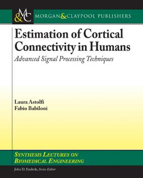 Читать Estimation of Cortical Connectivity in Humans - Laura Astolfi