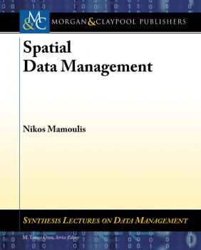 Читать Spatial Data Management - Nikos Mamoulis