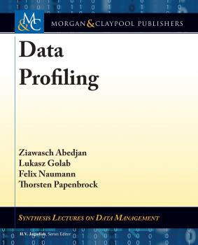 Читать Data Profiling - Lukasz Golab