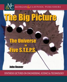 Читать The Big Picture - John Beaver