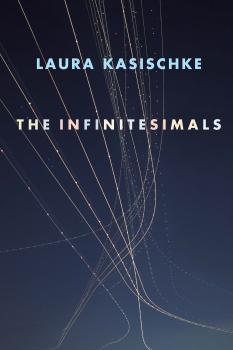 Читать The Infinitesimals - Laura  Kasischke