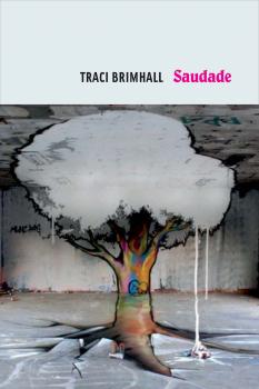 Читать Saudade - Traci Brimhall
