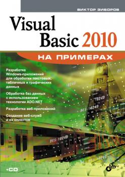 Читать Visual Basic 2010 на примерах - Виктор Зиборов