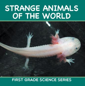 Читать Strange Animals Of The World : First Grade Science Series - Baby Professor
