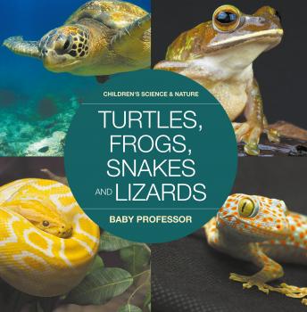 Читать Turtles, Frogs, Snakes and Lizards | Children's Science & Nature - Baby Professor