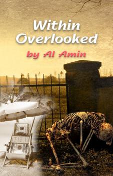 Читать Within Overlooked - Al Amin