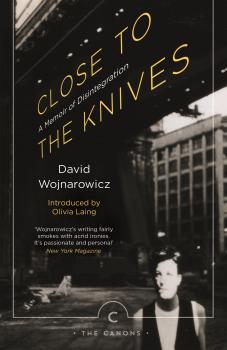 Читать Close to the Knives - David Wojnarowicz