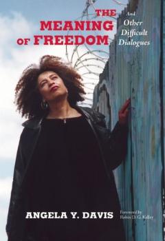 Читать The Meaning of Freedom - Angela Y. Davis