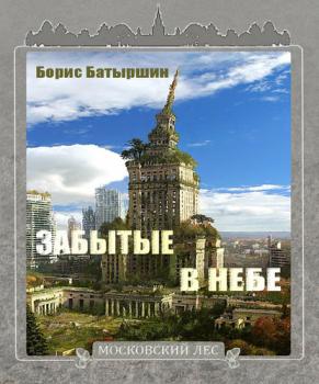 Читать Забытые в небе - Борис Батыршин