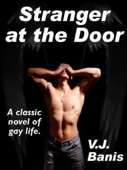 Читать Stranger at the Door - Victor J. Banis