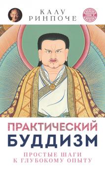 Читать Практический буддизм. Том V. Простые шаги к глубокому опыту - Калу Ринпоче