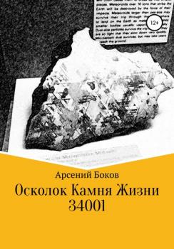 Читать Осколок камня жизни 34001 - Арсений Боков