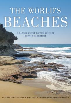 Читать The World's Beaches - Orrin H. Pilkey