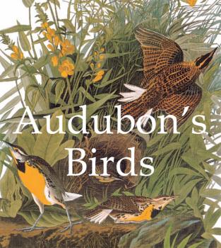 Читать Audubon's Birds - John James  Audubon