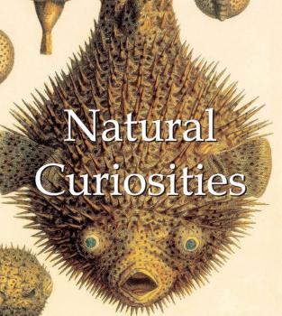 Читать Natural Curiosities - Victoria  Charles