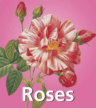 Читать Roses - Victoria  Charles