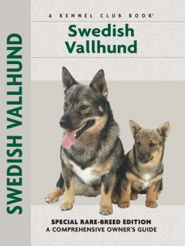 Читать Swedish Vallhund - Janice Willton